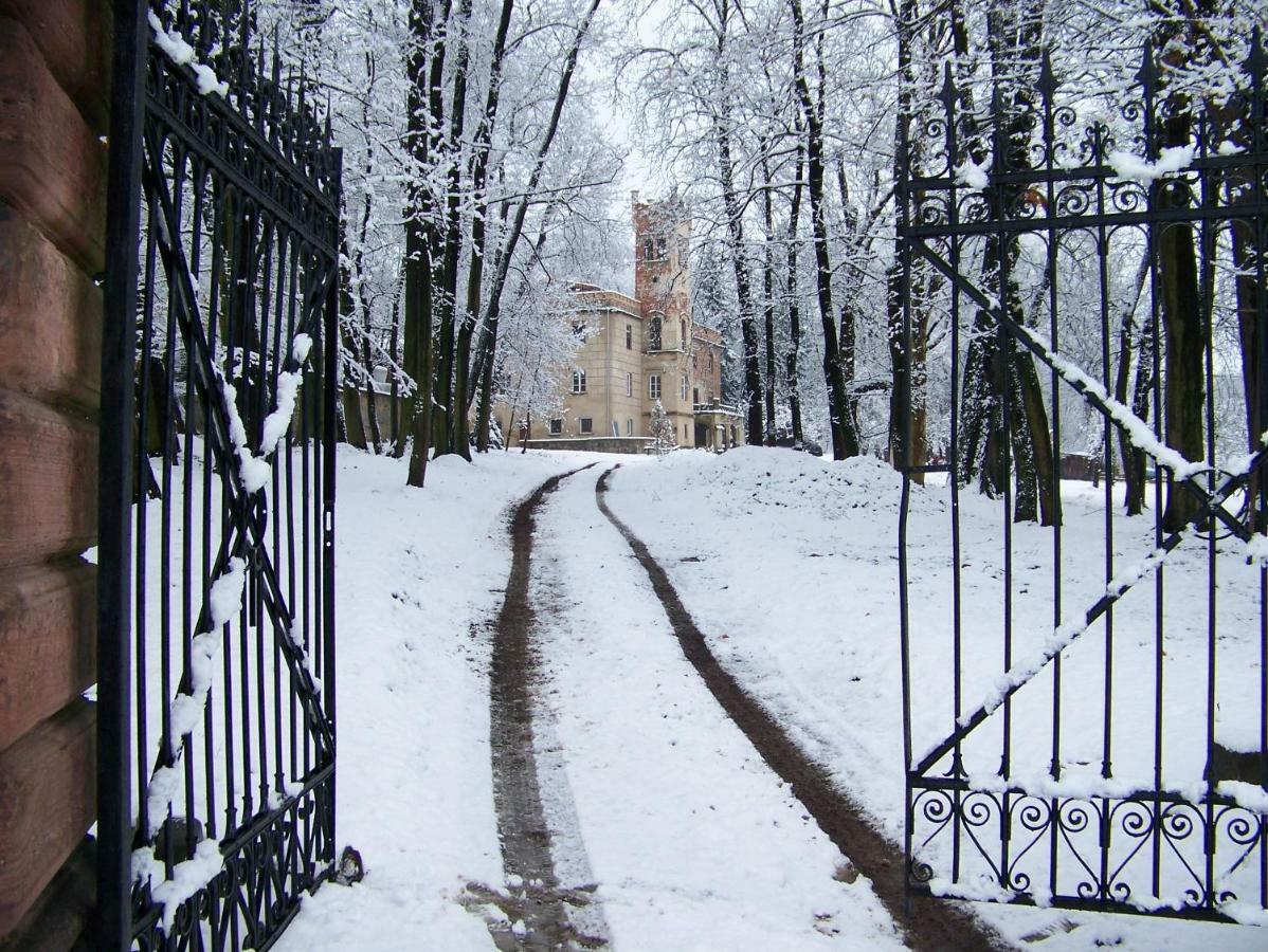 Palac Dabrowica Dabrowica  Exteriér fotografie