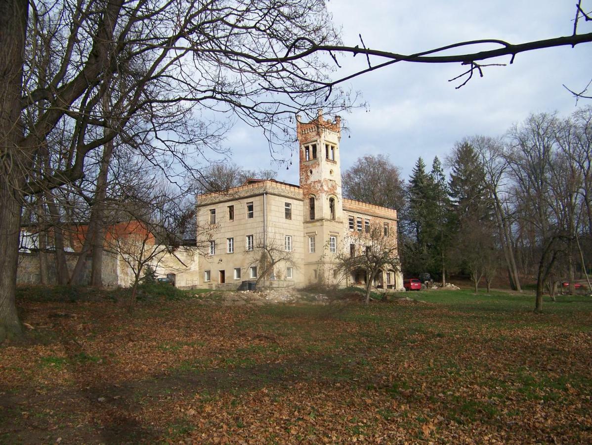 Palac Dabrowica Dabrowica  Exteriér fotografie