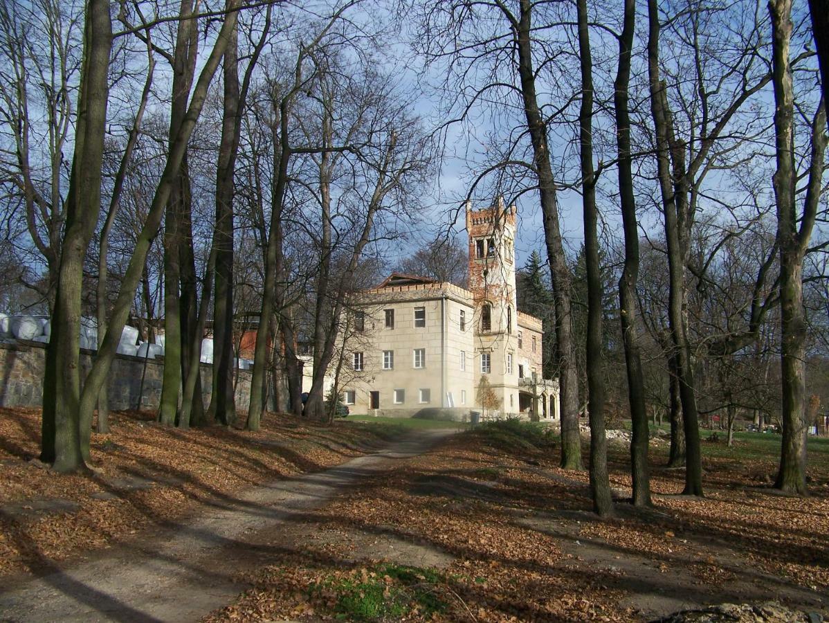 Palac Dabrowica Dabrowica  Exteriér fotografie